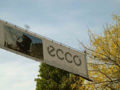 ECCO: ��������� ����� - ����!
