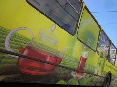 "Mevlana" - ��� ���������� ���