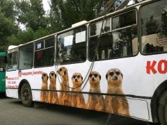  �Hamster�: ������. �����. �����.