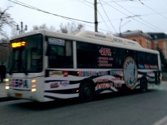�Zebra� ������ � �� ��������!