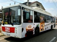 ������� ���� �������� Torabika